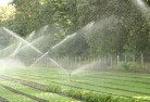 Coomungalandscaping-water-management-and-drainage-17.jpg; ?>